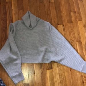 Aritzia turtleneck sweater